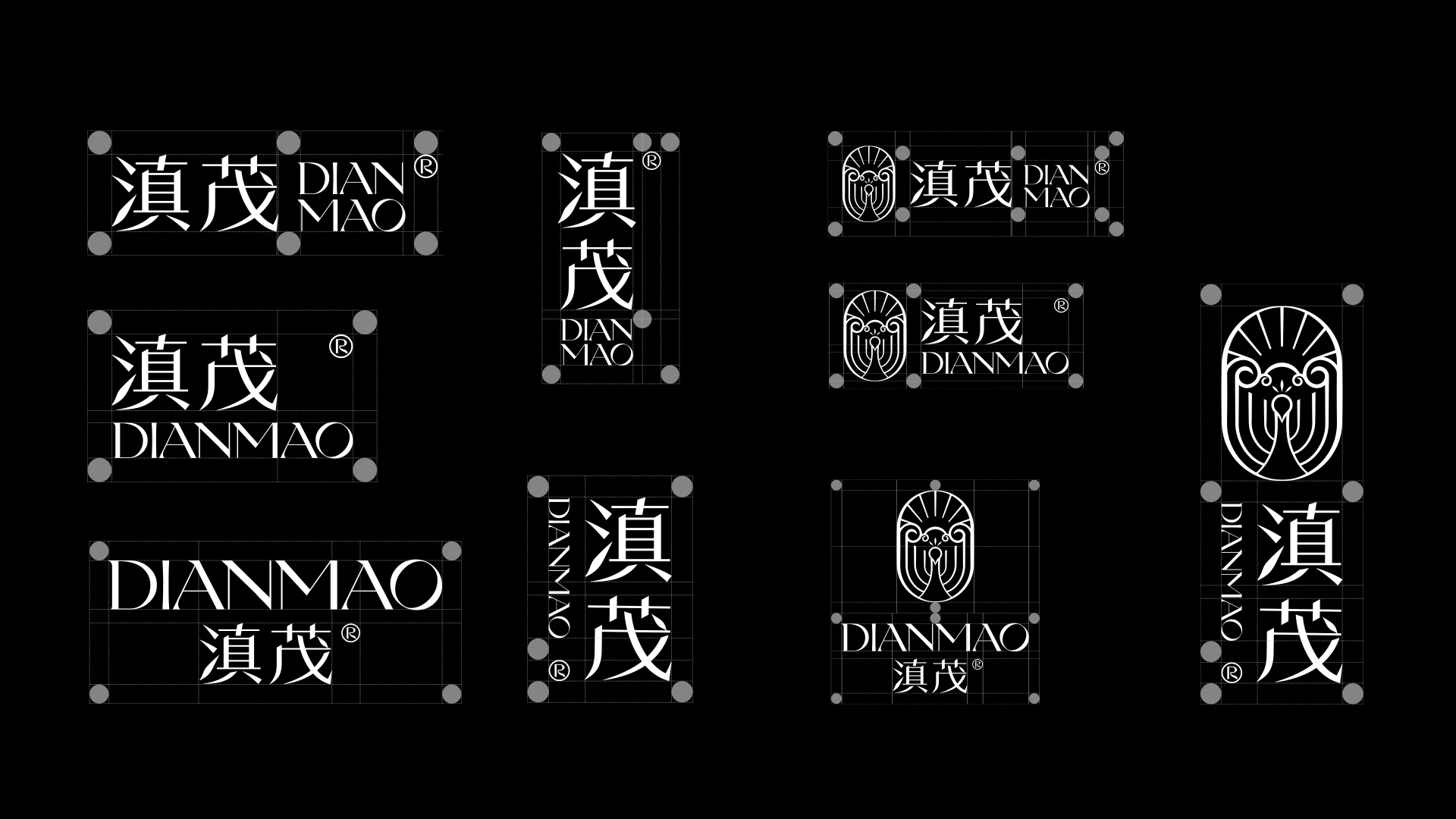 DIANMAO 滇茂 4.1