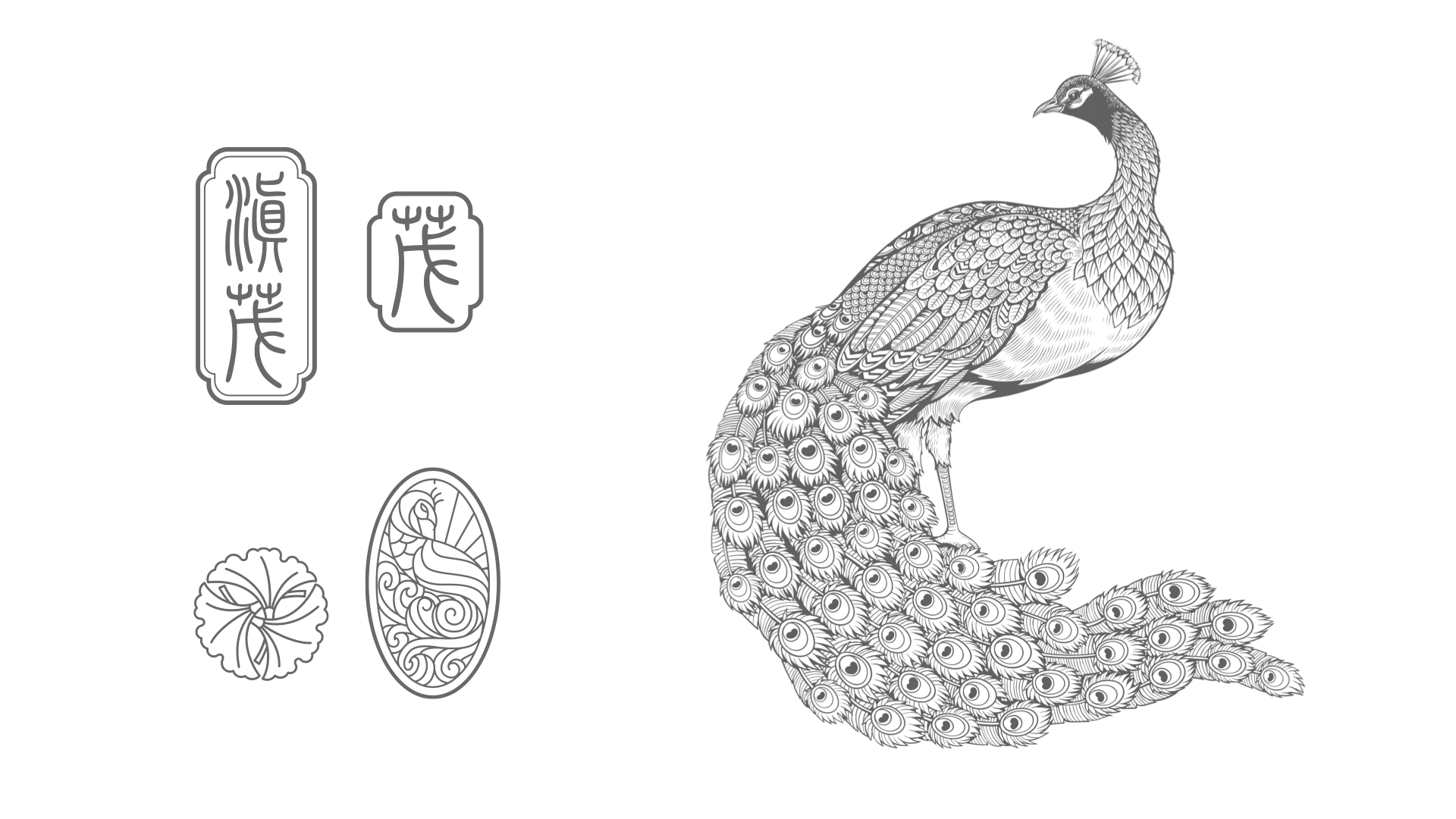 DIANMAO 滇茂 6.1