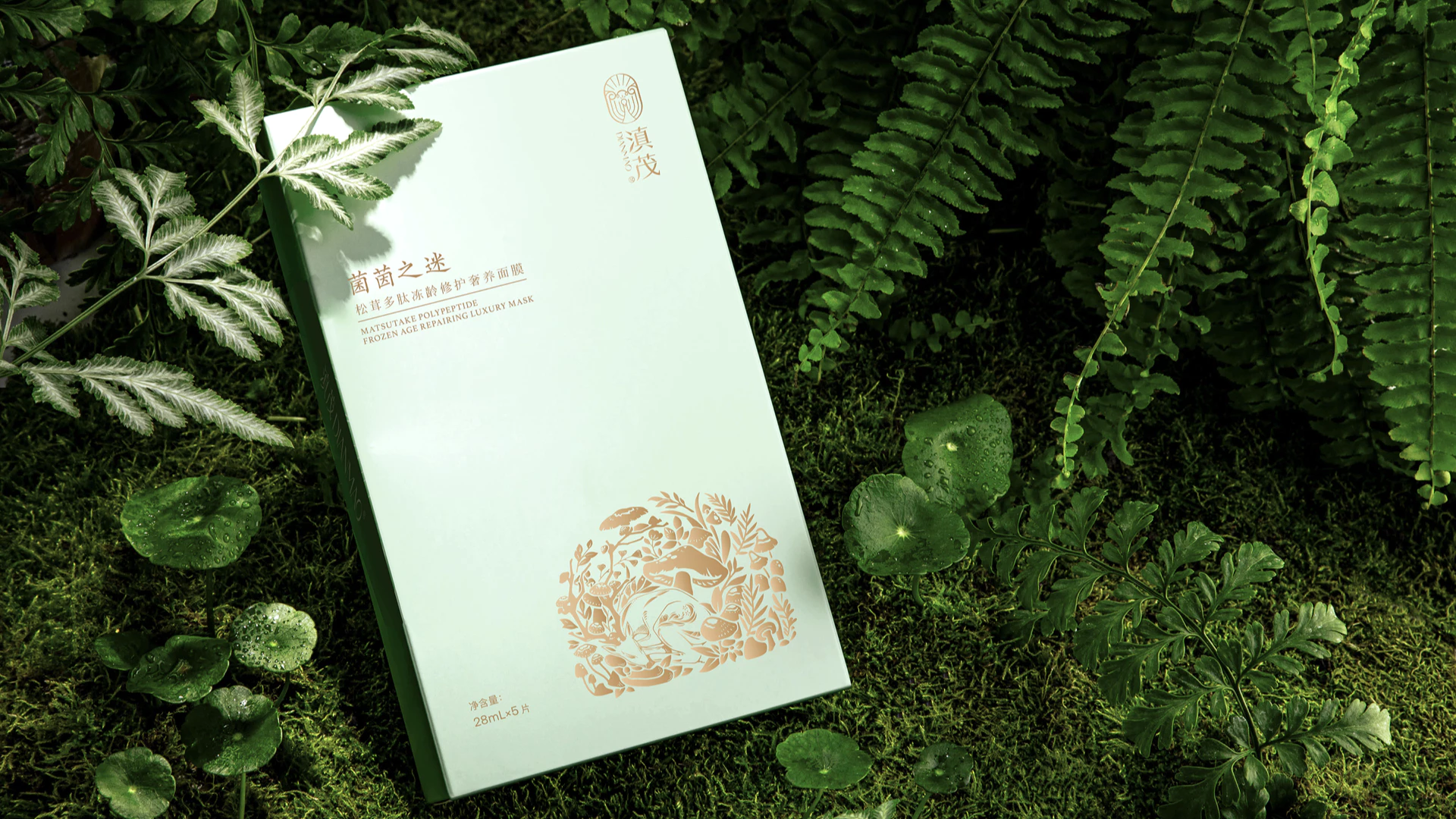DIANMAO 滇茂 8.3